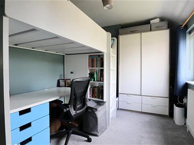 Picture 12